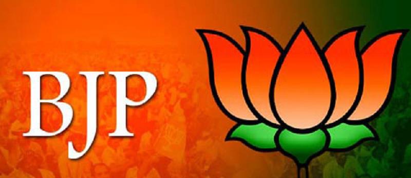 BJPin-delhi-file-image.jpg