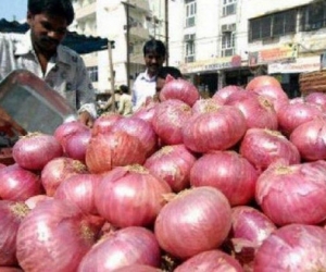 Onion_indiatvpaisa-file-image.jpg